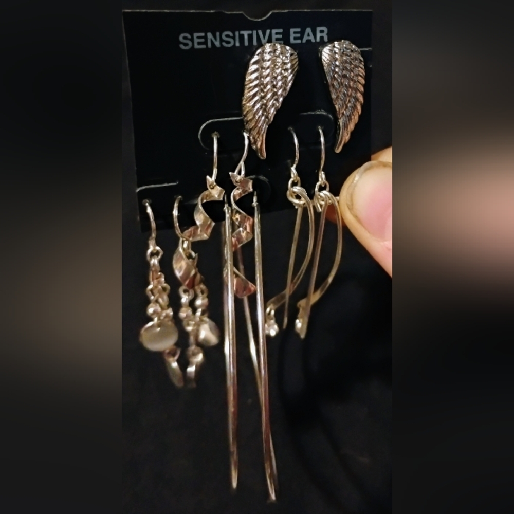 Silver Wing and Hoop Earring Set